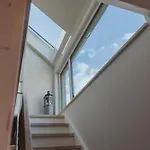 Neu 
